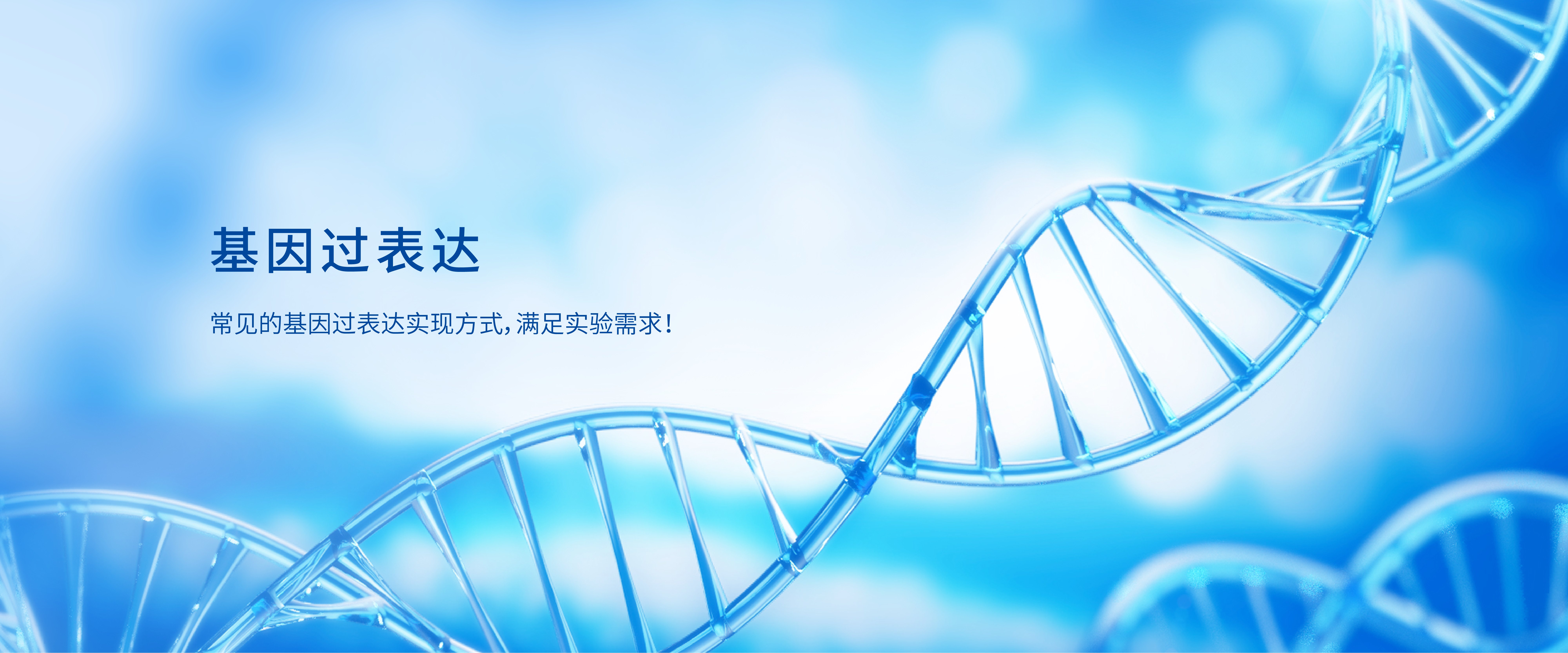 擎科生物